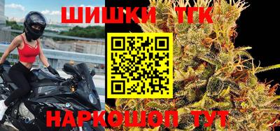 крисы Славгород