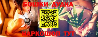 крисы Славгород