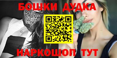 крисы Славгород