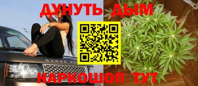 крисы Славгород