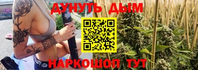 крисы Славгород