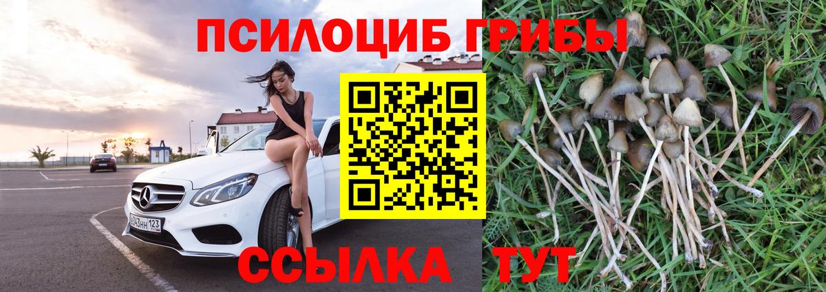 как найти закладки  Вход с VPN  Печора  Псилоцибиновые грибы мухоморы 