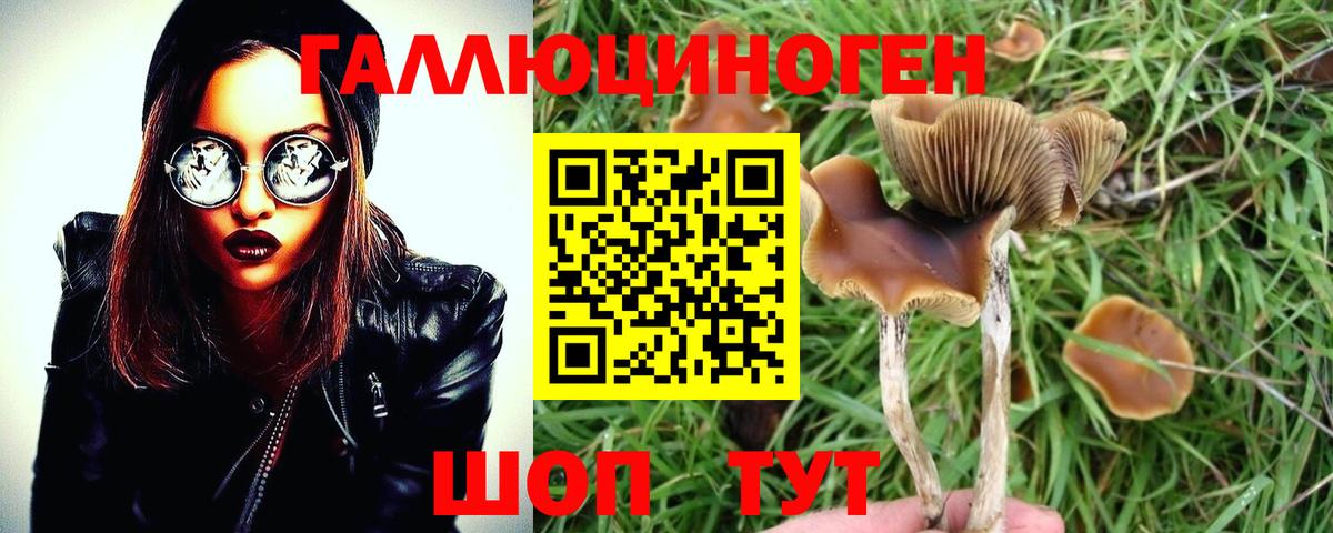 Псилоцибиновые грибы MAGIC MUSHROOMS Печора